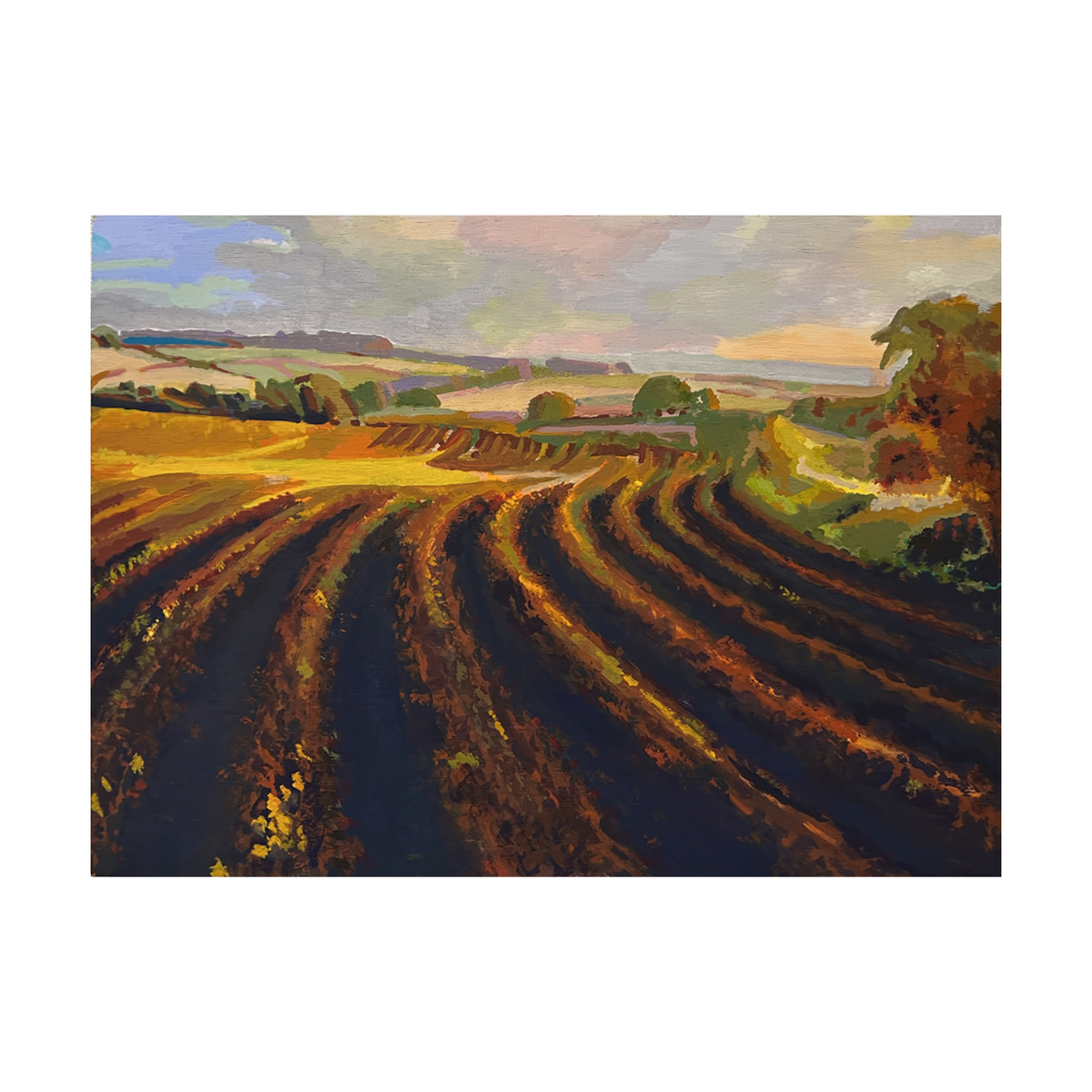 cultivation