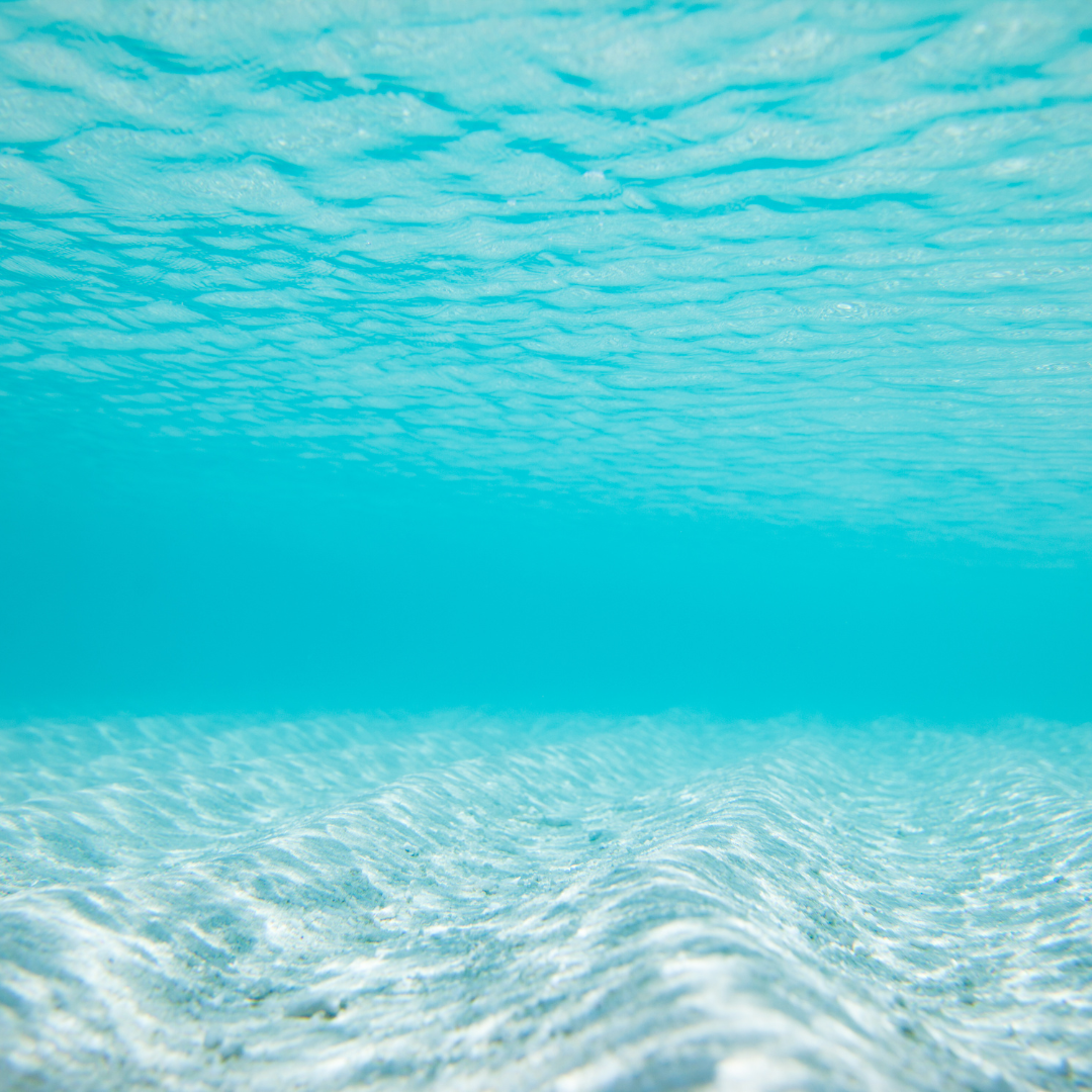 vivi & vela sea song inspiration - vivid turquoise ocean water with soft ripples
