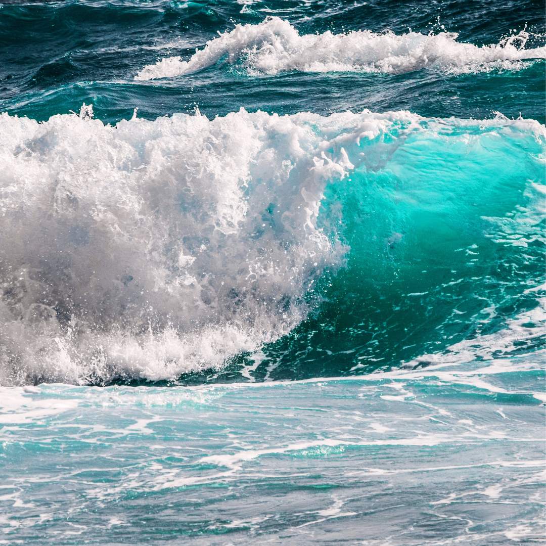 vivi & vela sea song inspiration - powerful ocean wave breaking with white foam and deep blue hues