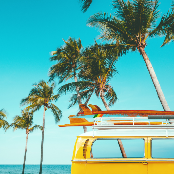 vivi & vela surf | moods inspiration - retro van by the beach surrounded by swaying palms