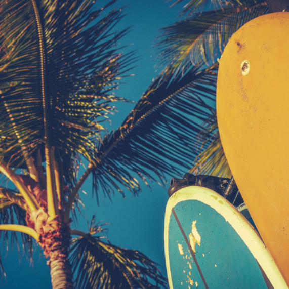 vivi & vela surf | moods inspiration - palm trees with a surfboard against a sunny turquoise sky
