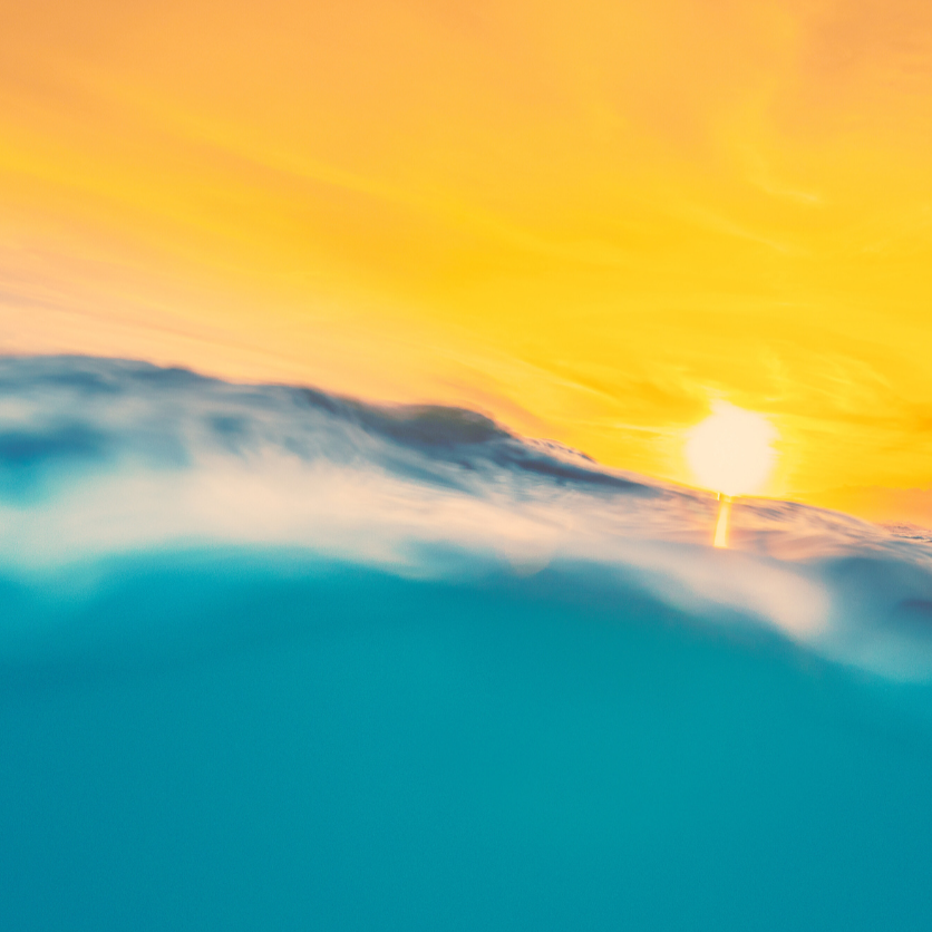 vivi & vela surf | moods inspiration - vibrant teal ocean wave illuminated by the golden sun